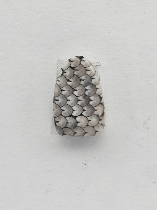 Snake skin agate cabochon