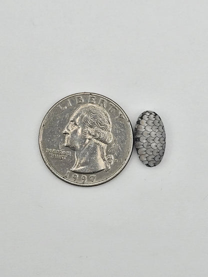 Snake skin agate cabochon