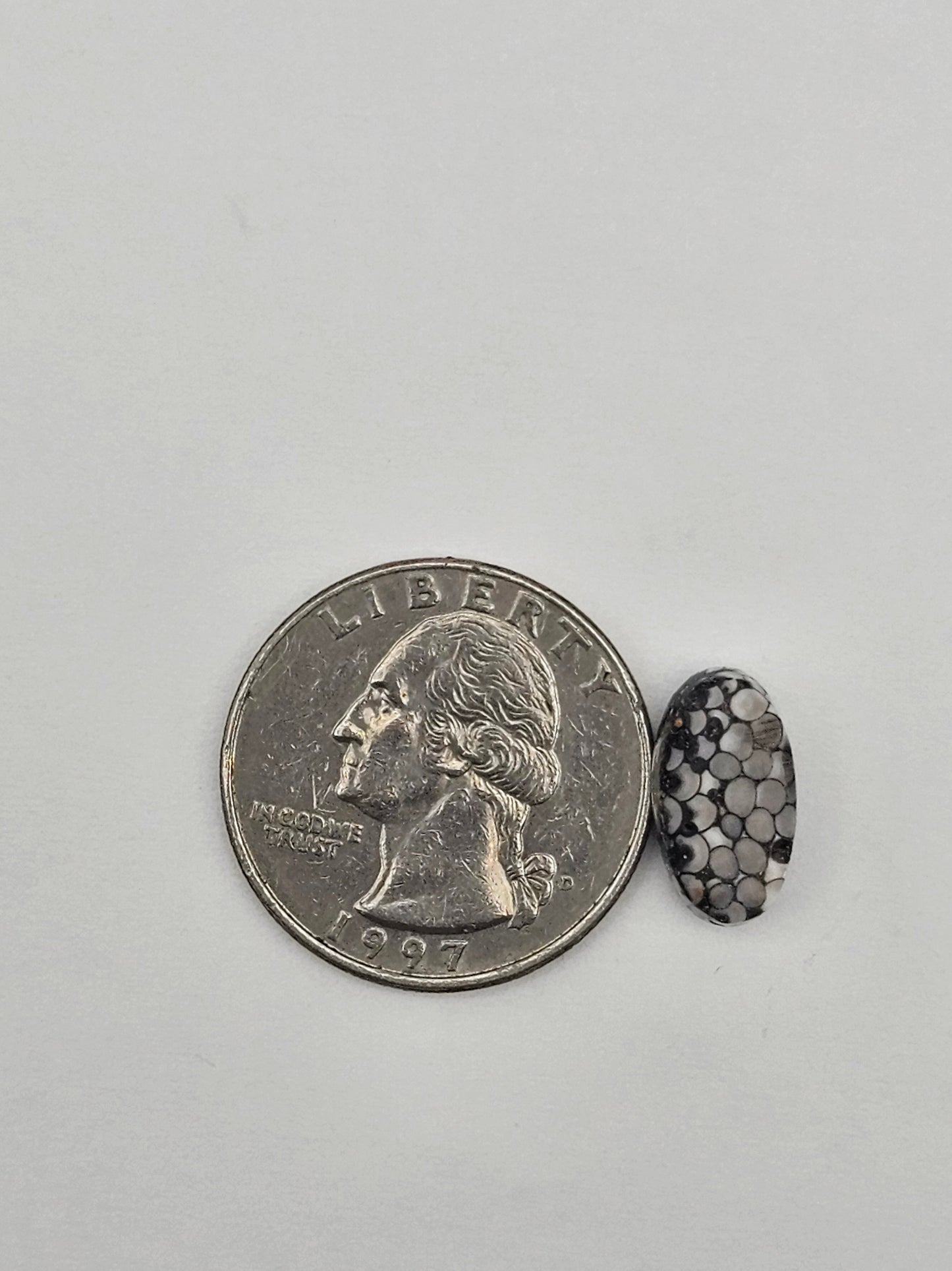 Snake skin agate cabochon
