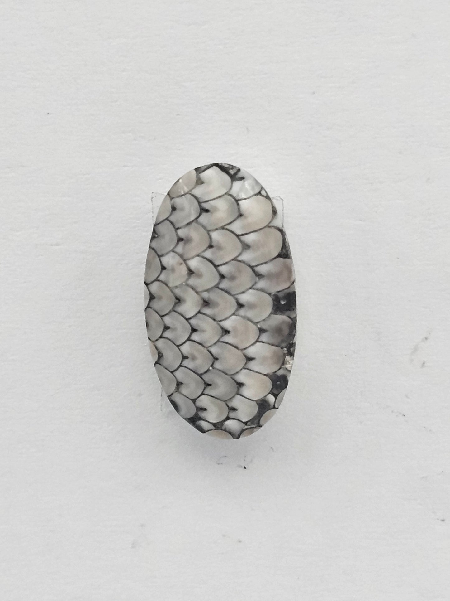 Snake skin agate cabochon