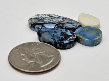 Dark moon variscite lot
