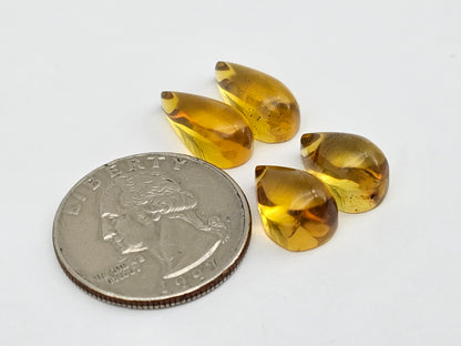 Amber authentic cabochon pair lot