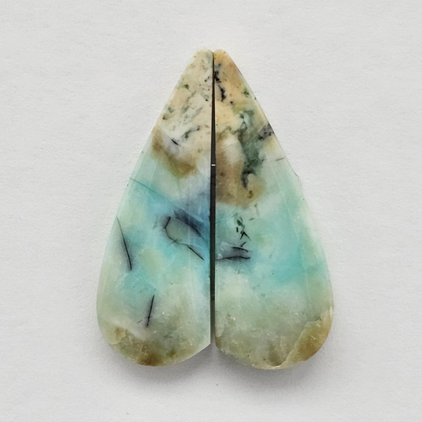 Blue Opal Petrified Wood Cabochon Pair