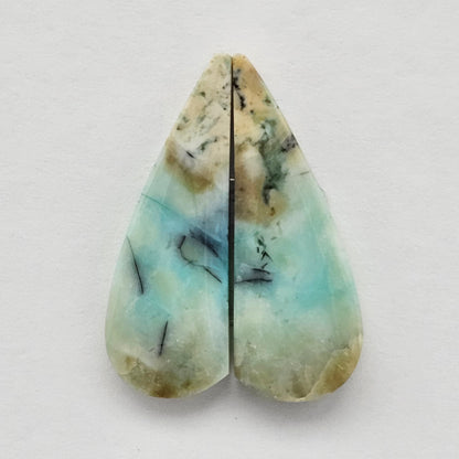 Blue Opal Petrified Wood Cabochon Pair