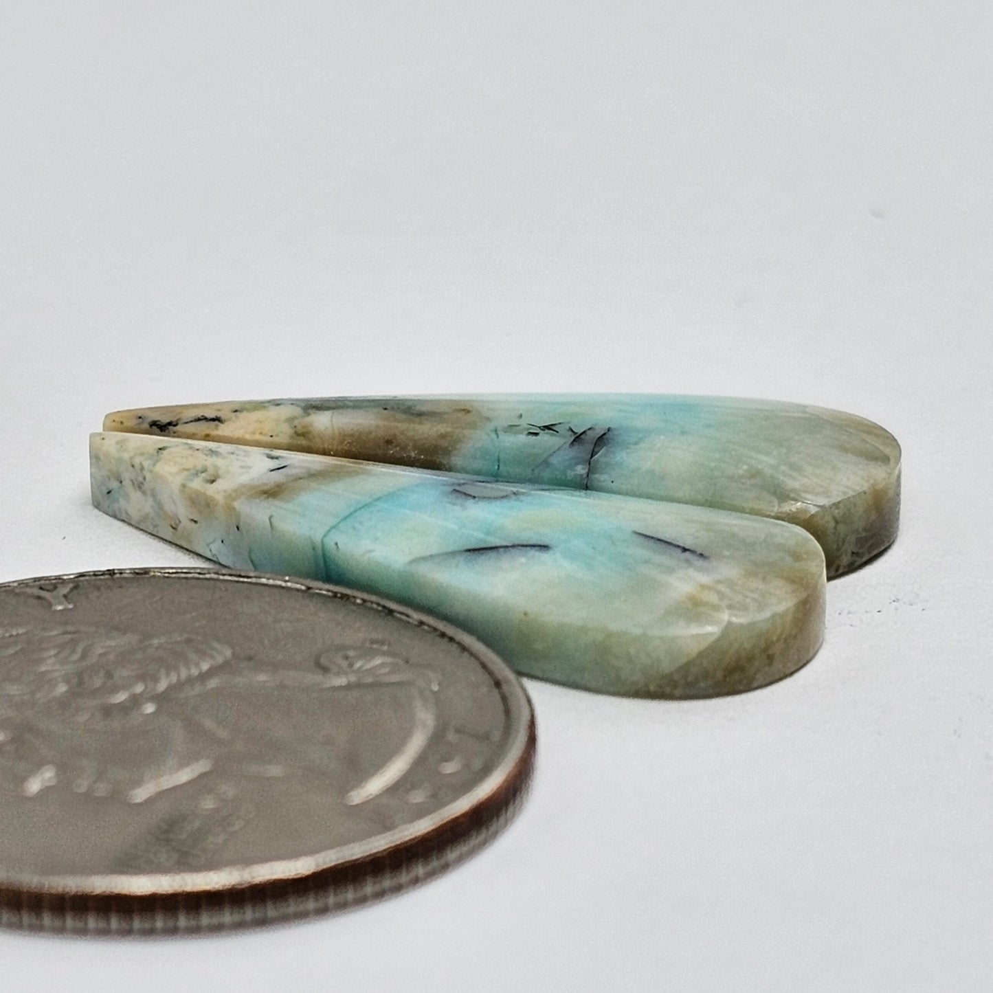 Blue Opal Petrified Wood Cabochon Pair