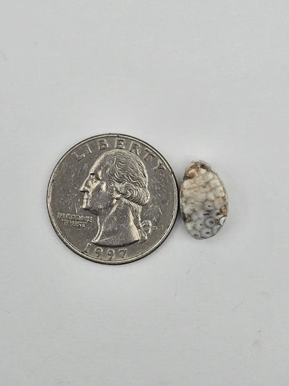 Snake skin agate cabochon