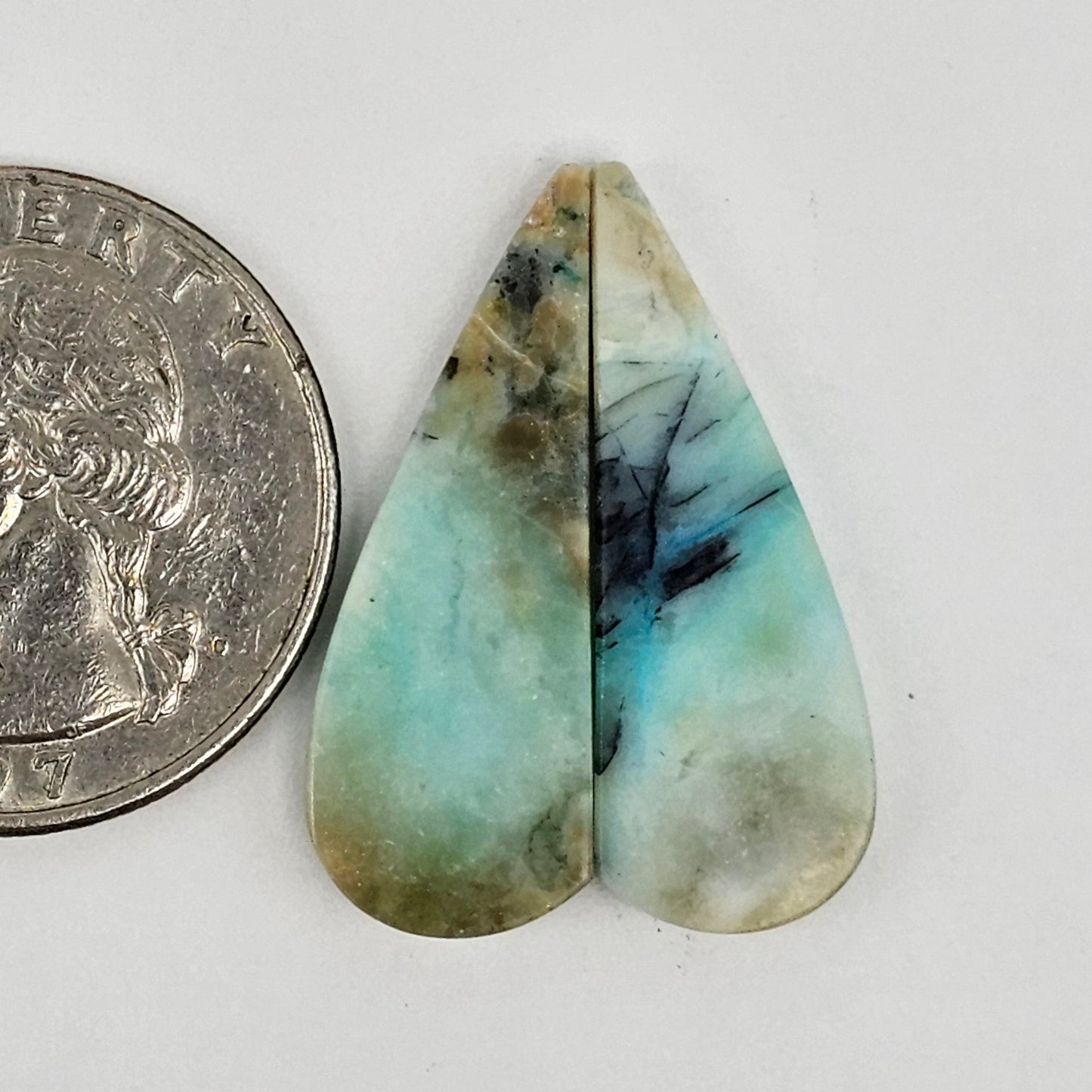 Blue Opal Petrified Wood Cabochon Pair