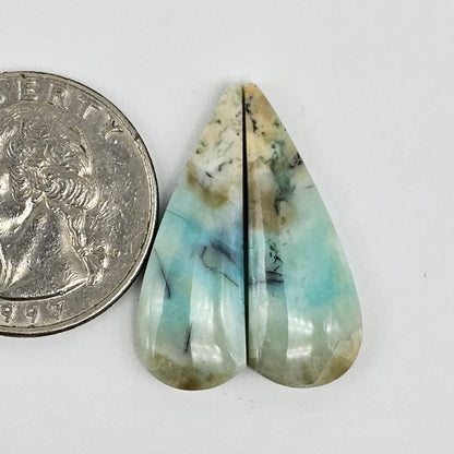 Blue Opal Petrified Wood Cabochon Pair