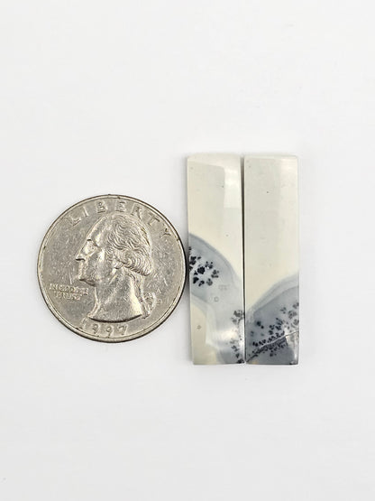 Maligano Jasper Cabochon Pair
