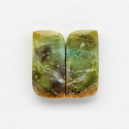 Blue Opal Petrified Wood Cabochon Pair