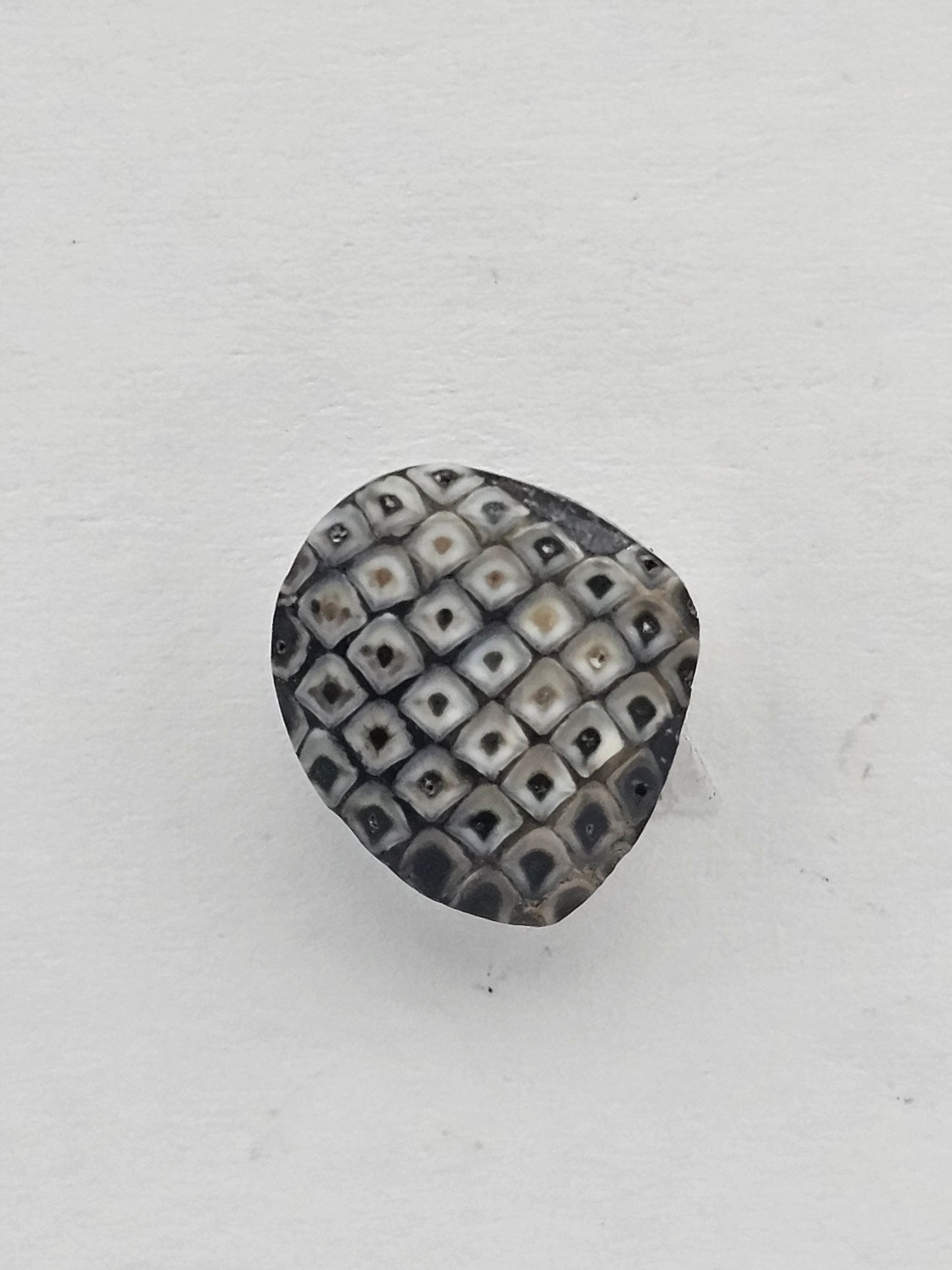 Snake skin agate cabochon
