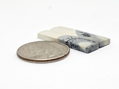 Maligano Jasper Cabochon Pair