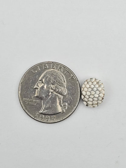 Snake skin agate cabochon