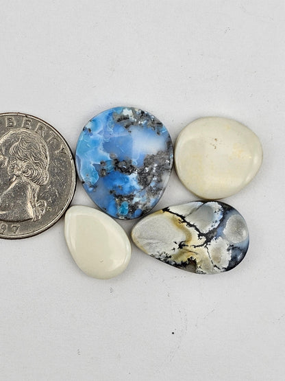 Dark moon variscite lot