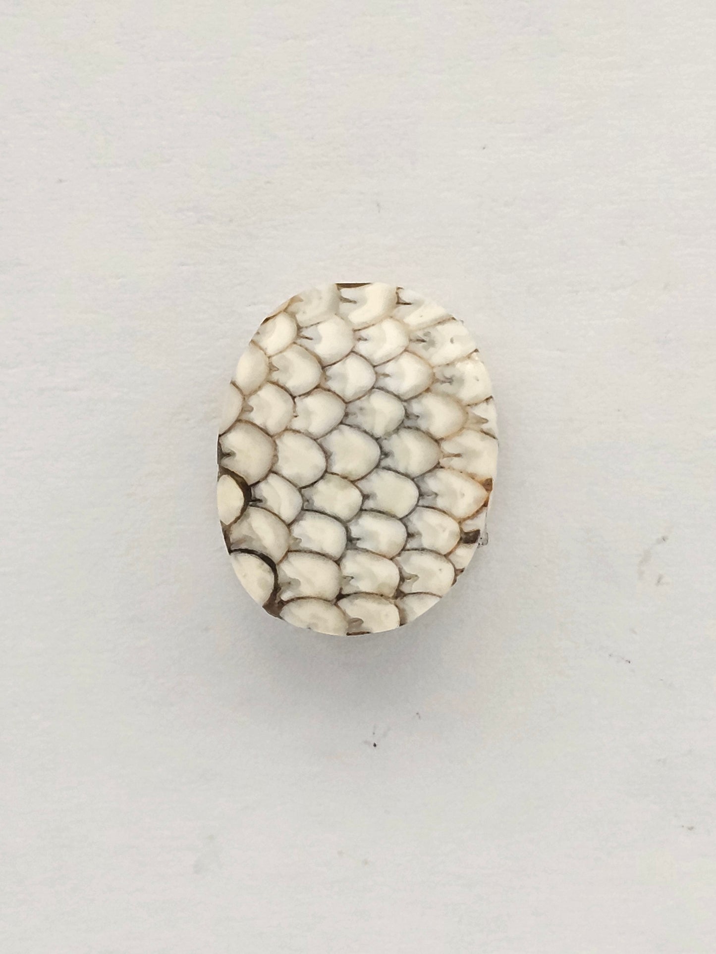 Snake skin agate cabochon