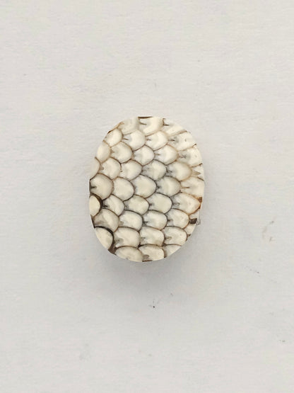 Snake skin agate cabochon