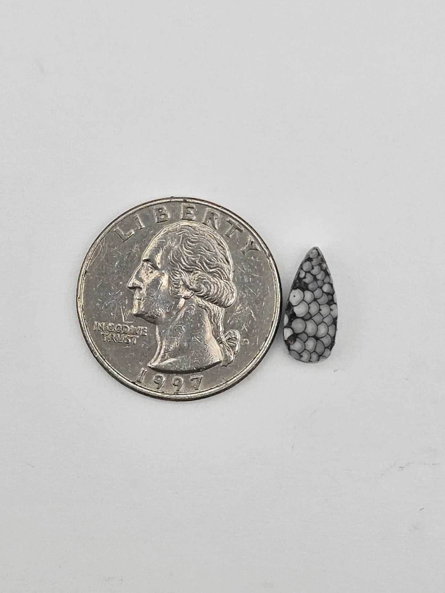 Snake skin agate cabochon