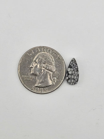 Snake skin agate cabochon