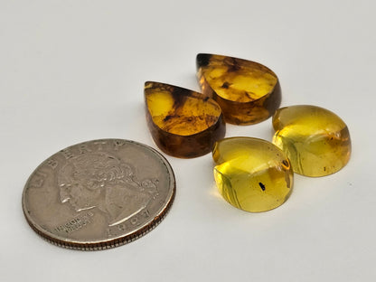 Amber authentic cabochon pair lot
