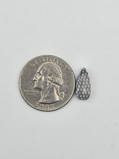 Snake skin agate cabochon