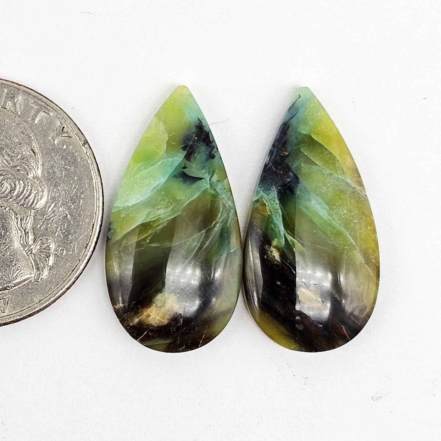 Blue Opal Petrified Wood Cabochon Pair