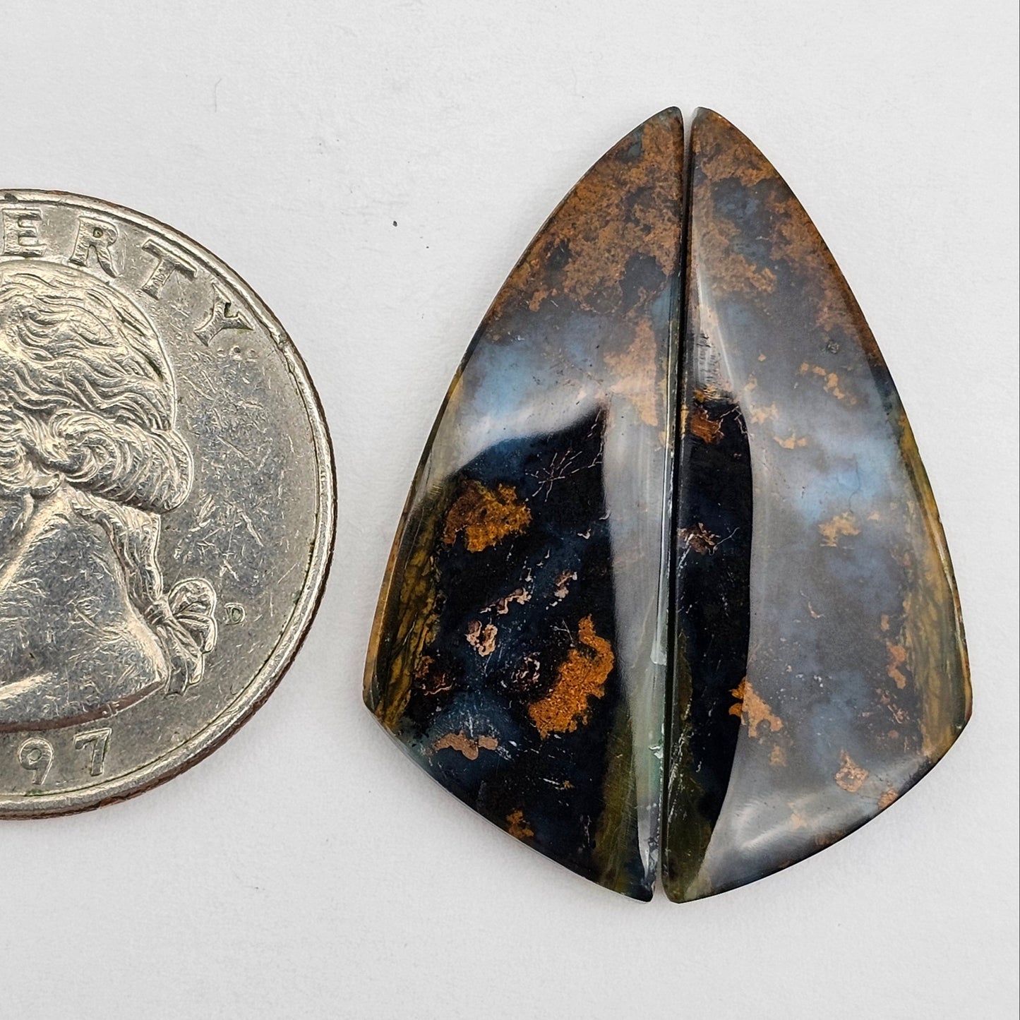 Blue opalized wood Cabochon Pair