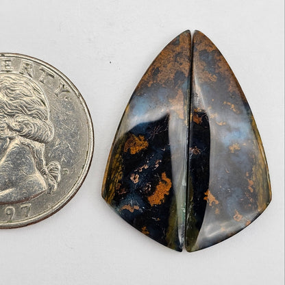 Blue opalized wood Cabochon Pair