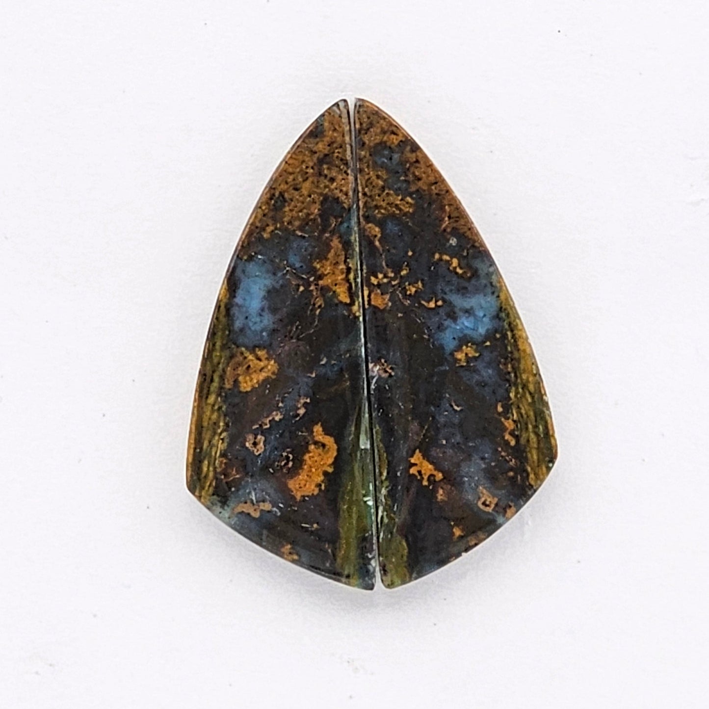 Blue opalized wood Cabochon Pair