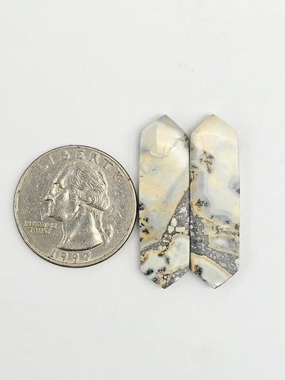 Maligano Jasper Cabochon Pair