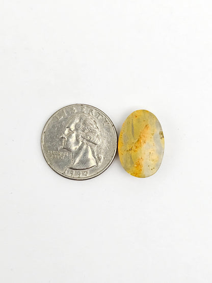 Bumblebee Jasper Cabochon