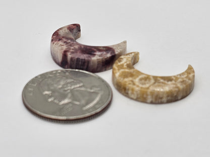 Fossilized Coral moon set