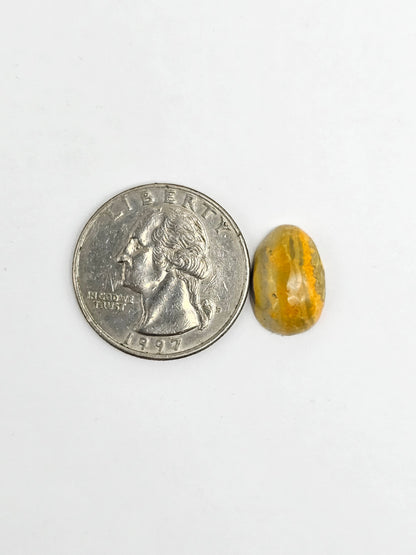 Bumblebee Jasper Cabochon