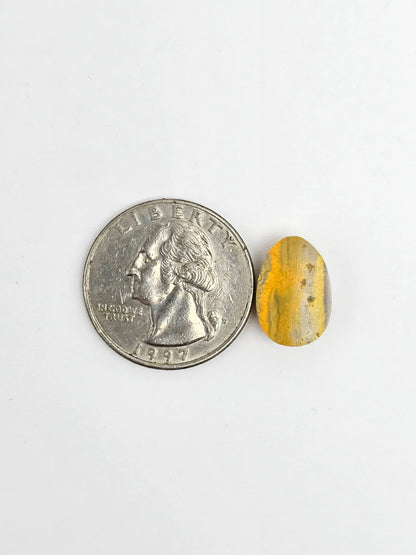 Bumblebee Jasper Cabochon