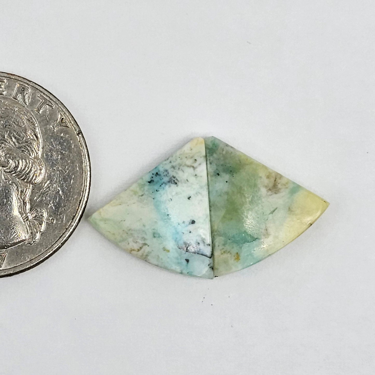 Blue Opal Petrified Wood Cabochon Pair