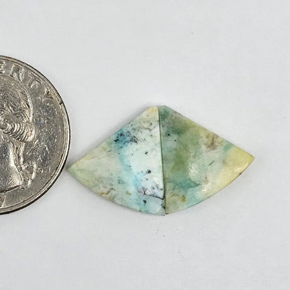 Blue Opal Petrified Wood Cabochon Pair