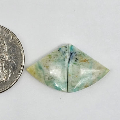 Blue Opal Petrified Wood Cabochon Pair