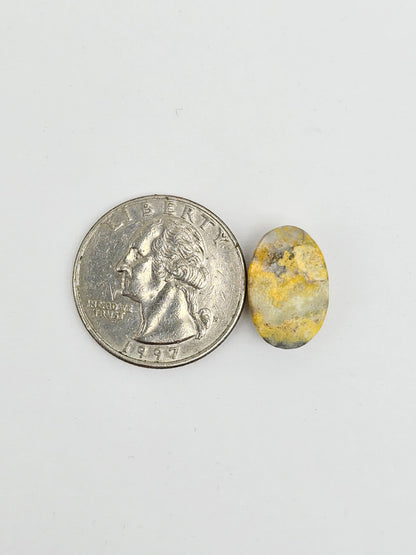 Bumblebee Jasper Cabochon