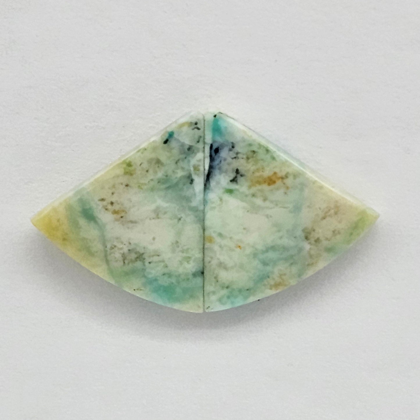 Blue Opal Petrified Wood Cabochon Pair