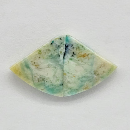 Blue Opal Petrified Wood Cabochon Pair