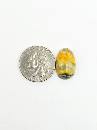 Bumblebee Jasper Cabochon