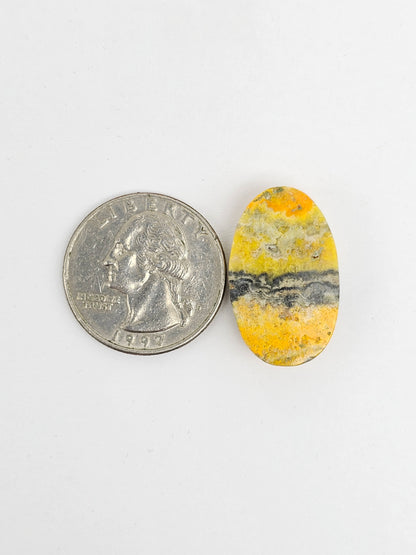 Bumblebee Jasper Cabochon