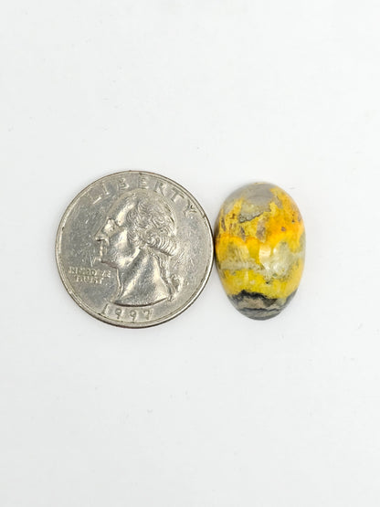 Bumblebee Jasper Cabochon