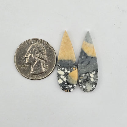 Maligano Jasper cabochon pair
