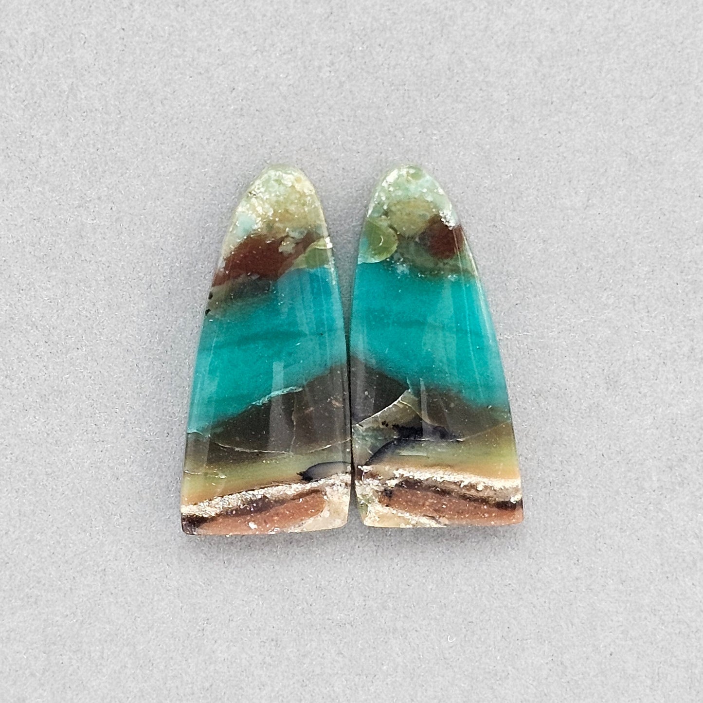 Blue opalized wood Cabochon pair