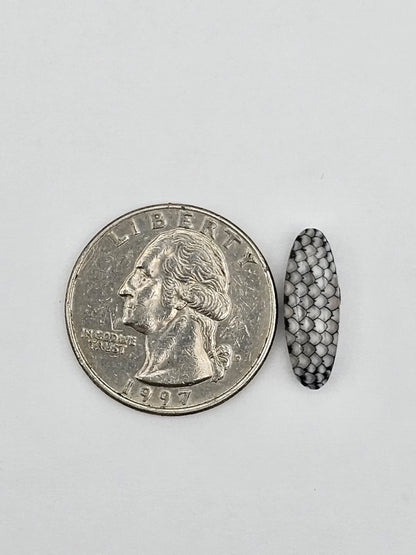 Snake skin agate cabochon