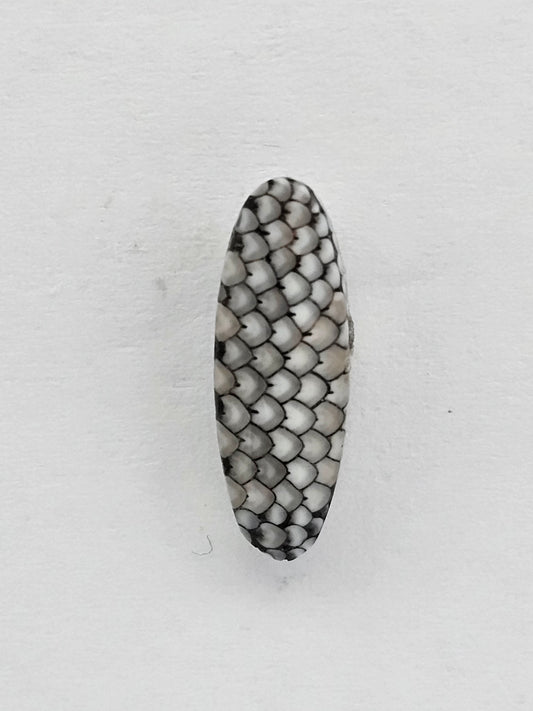 Snake skin agate cabochon