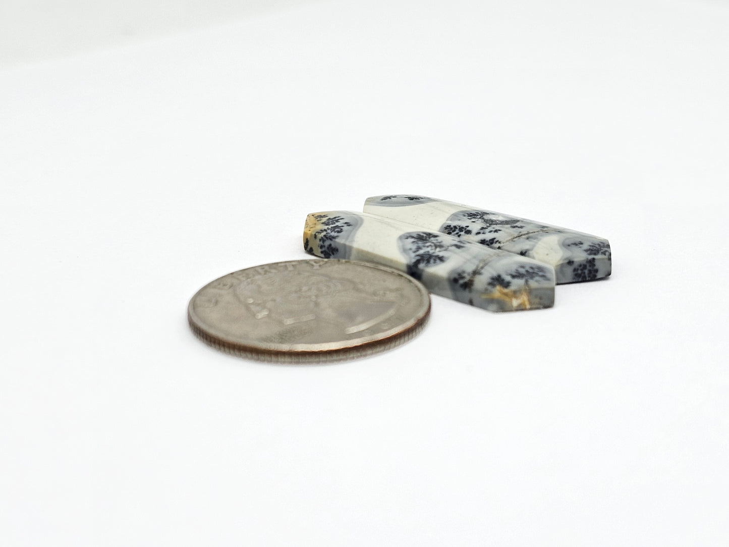 Maligano Jasper Cabochon Pair