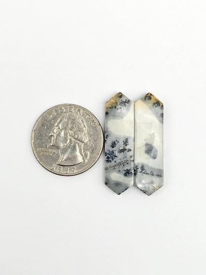 Maligano Jasper Cabochon Pair
