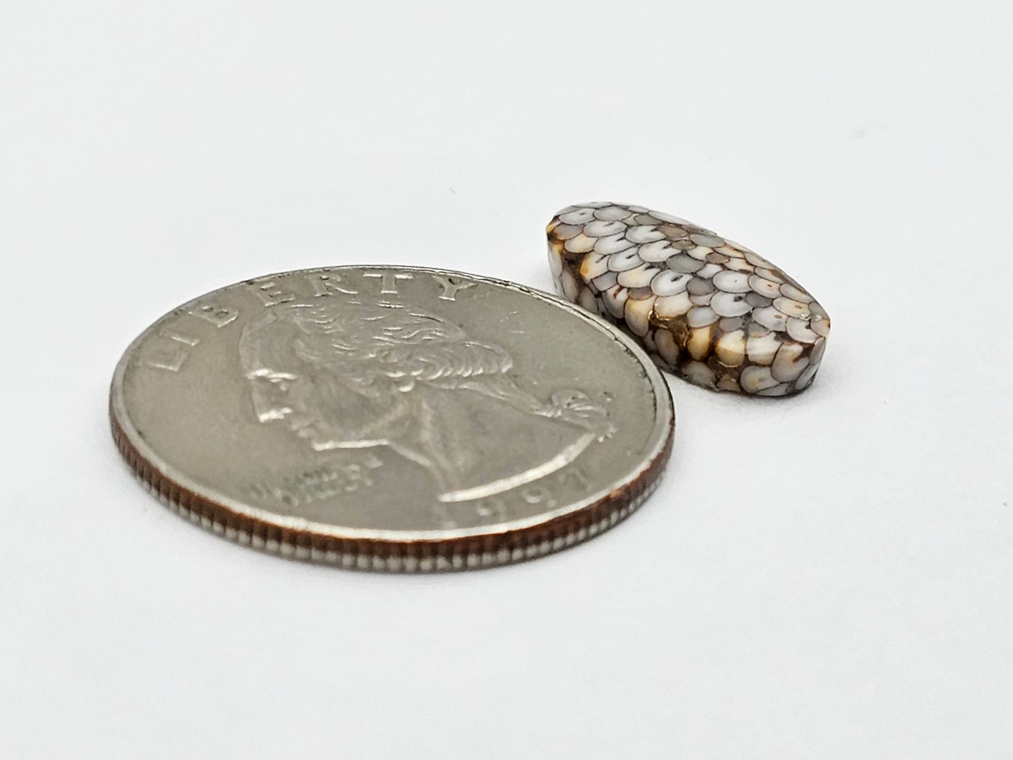 Snake skin agate cabochon