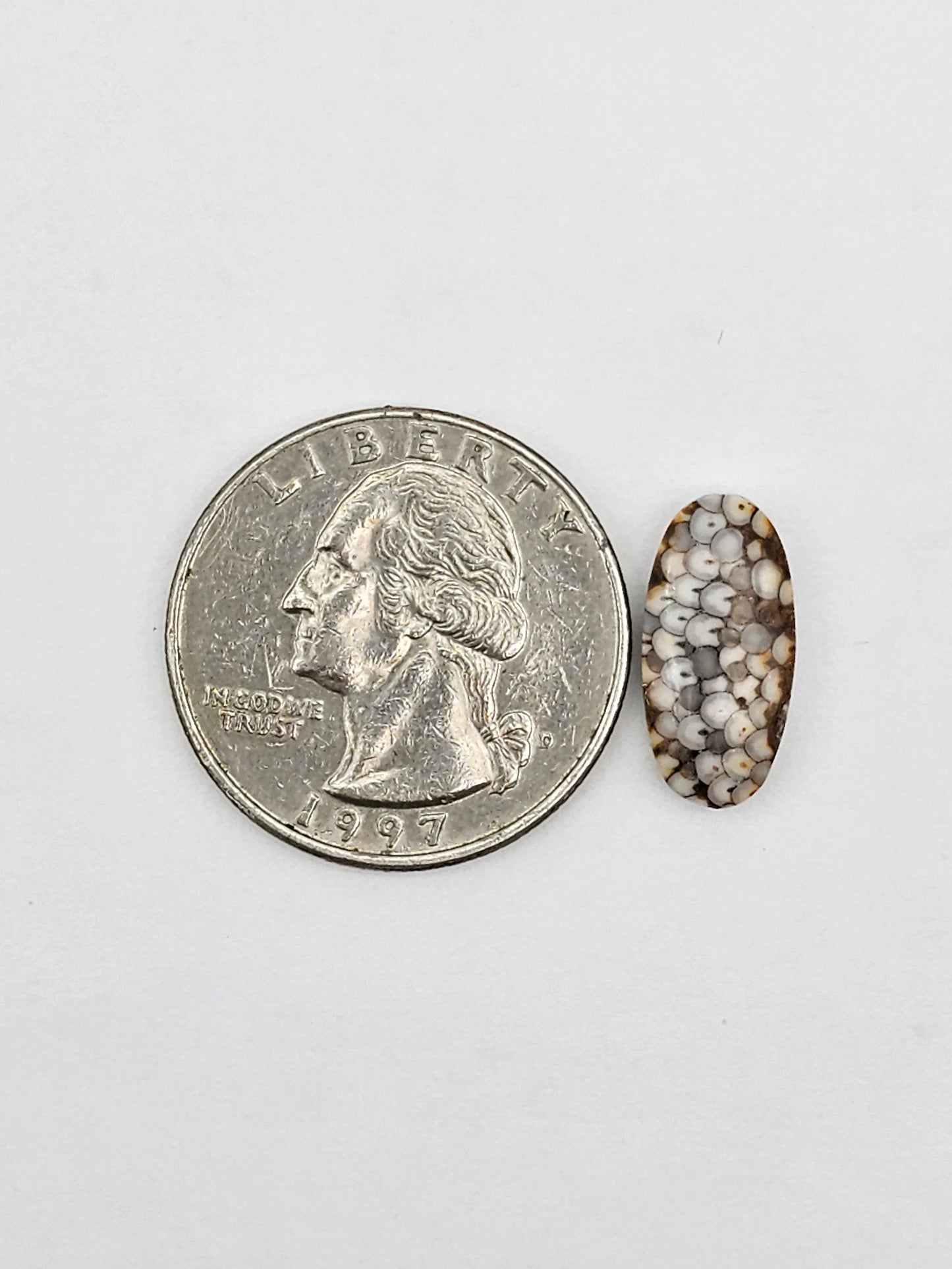 Snake skin agate cabochon